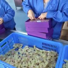 廣州捷美電子儀器廠 專業賦能美容院，打造科技美膚新體驗